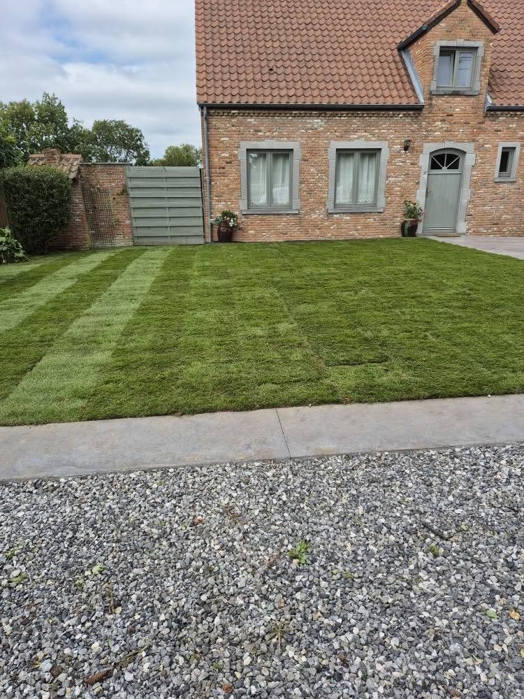 Pelouse tondue devant une maison